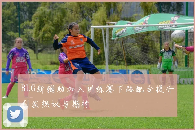 BLG新辅助加入训练赛下路配合提升引发热议与期待