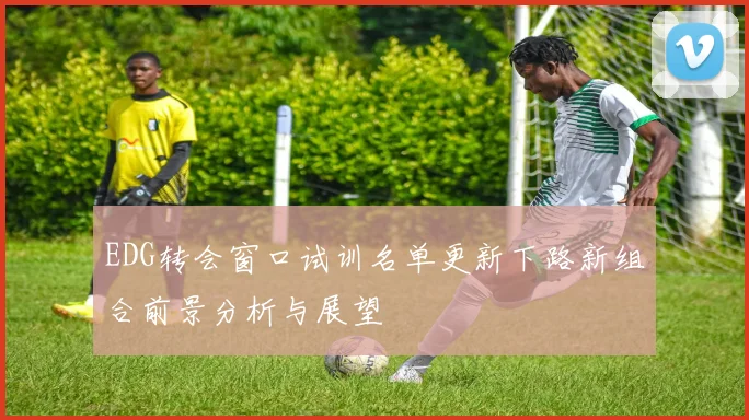 EDG转会窗口试训名单更新下路新组合前景分析与展望