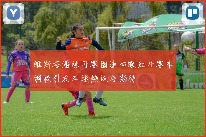 维斯塔潘练习赛圈速回暖红牛赛车调校引发车迷热议与期待