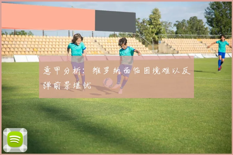 意甲分析：维罗纳面临困境难以反弹前景堪忧