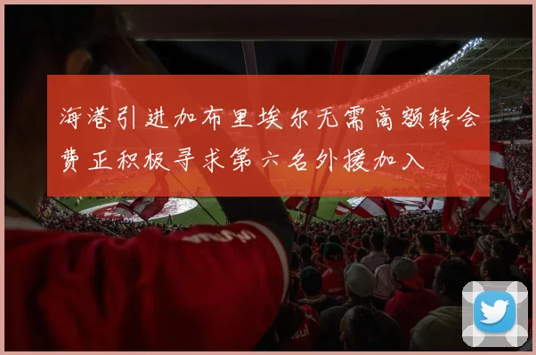 海港引进加布里埃尔无需高额转会费正积极寻求第六名外援加入