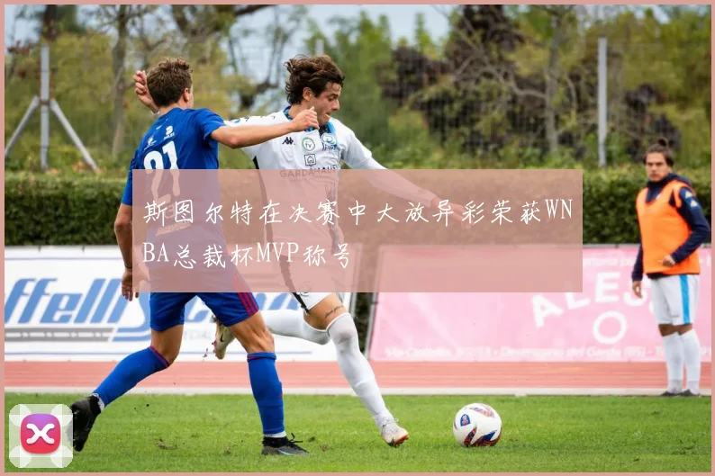 斯图尔特在决赛中大放异彩荣获WNBA总裁杯MVP称号