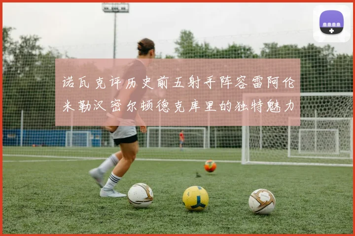 诺瓦克评历史前五射手阵容雷阿伦米勒汉密尔顿德克库里的独特魅力与影响